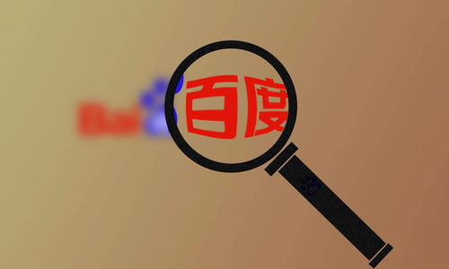 全自动蜘蛛池